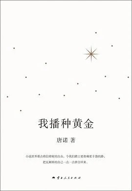 《我播种黄金》唐诺 2025