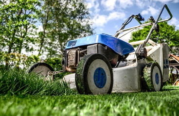 Exemple De Devis Amenagement De Jardin