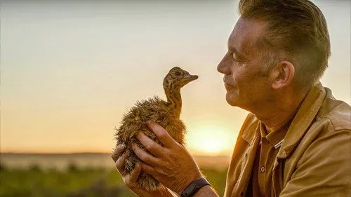 Evolution S01E02 – The Ostrich poster