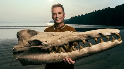 Evolution S01E04 – The Dolphin