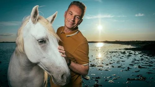 Evolution S01E05 – The Horse poster