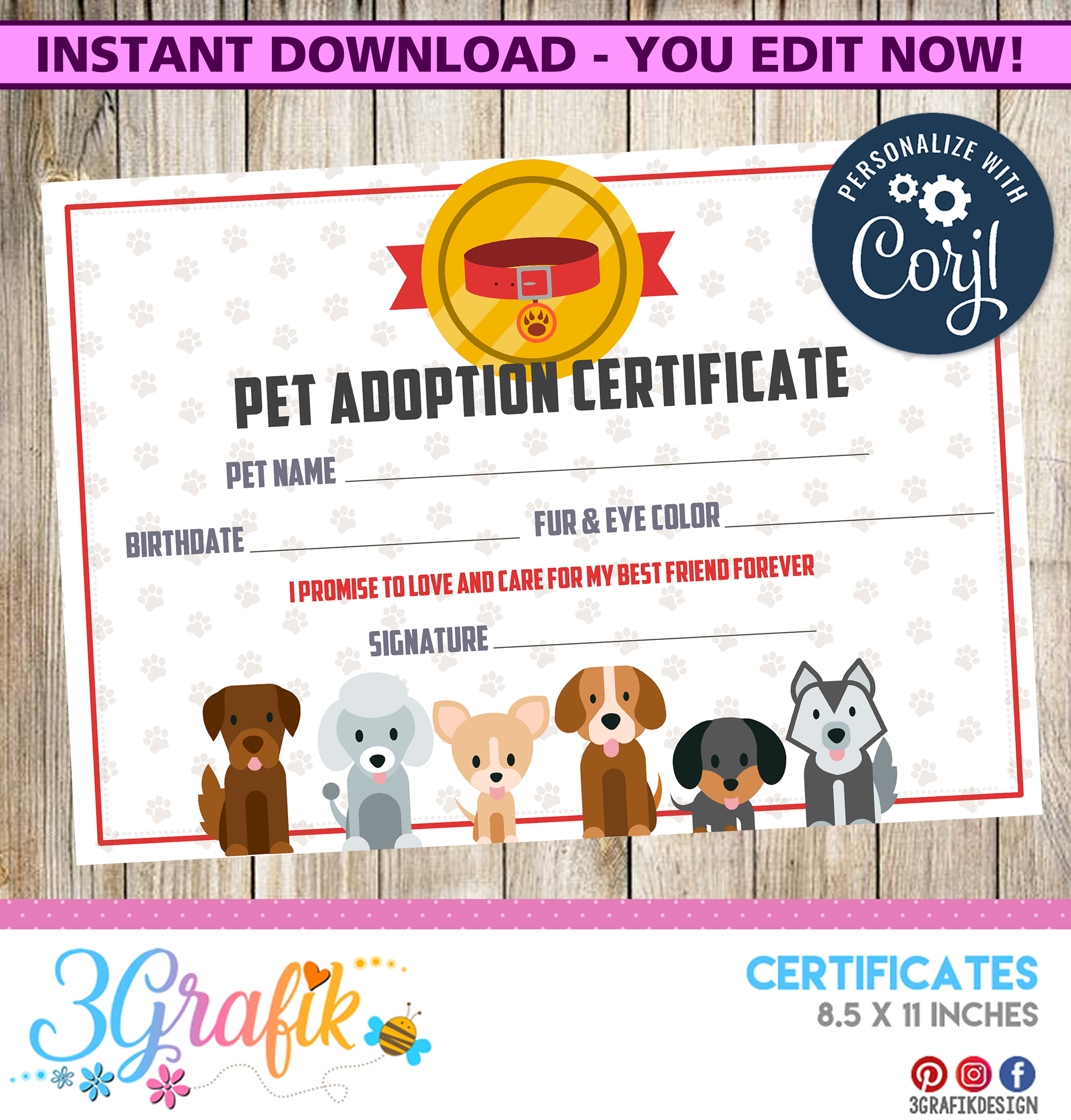 If you’ve ever looked into buying a pet such as a dog or cat, you may have been surprised by the price. Pet Adoption Certificate Printable 3grafik