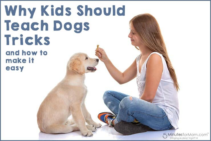 Training your dog to do tricks can be a fun, enriching experience for both of you. Kids Teaching Dogs Tricks Is Your Dog Or Your Child Learning More 5 Minutes For Mom