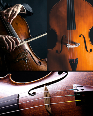 String Quartet Music By Arrangement - Download Stunning Ocean Photo | High Resolution