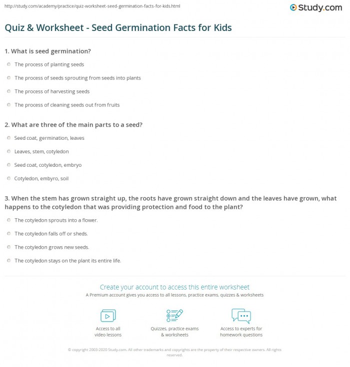 Follow these pointers to grow a variety of plants from seed. Parts Of A Seed Quiz Worksheets 99worksheets