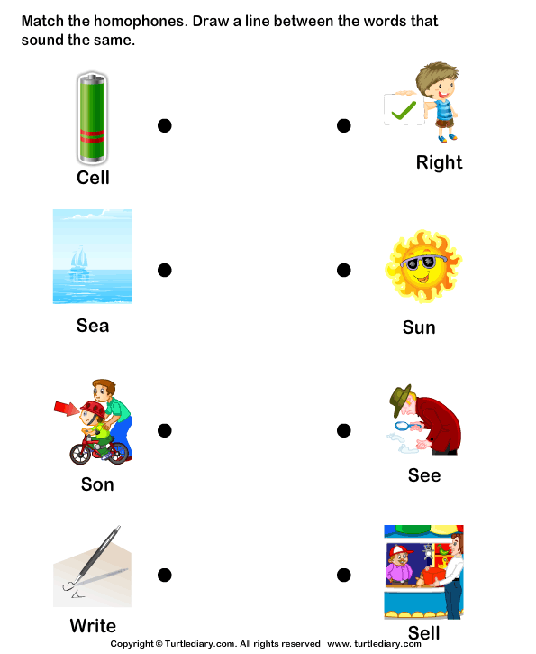 homophones same sounds worksheets 99worksheets
