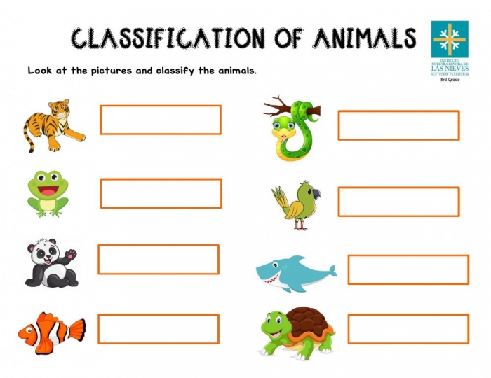 Classifying animals worksheets