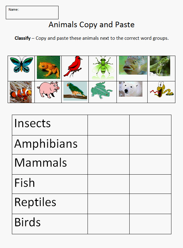 Classifying animals worksheets