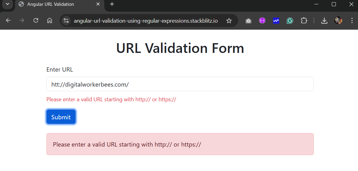 URL-Validation-Using-Regular-Expressions-demo with examples
