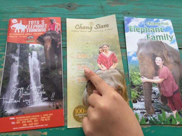 My three top choices.