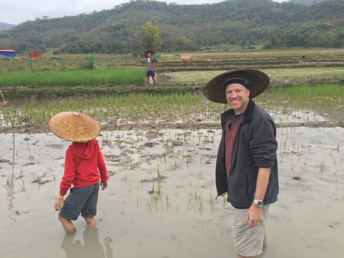 Planting rice in the rice fields. What a goof!