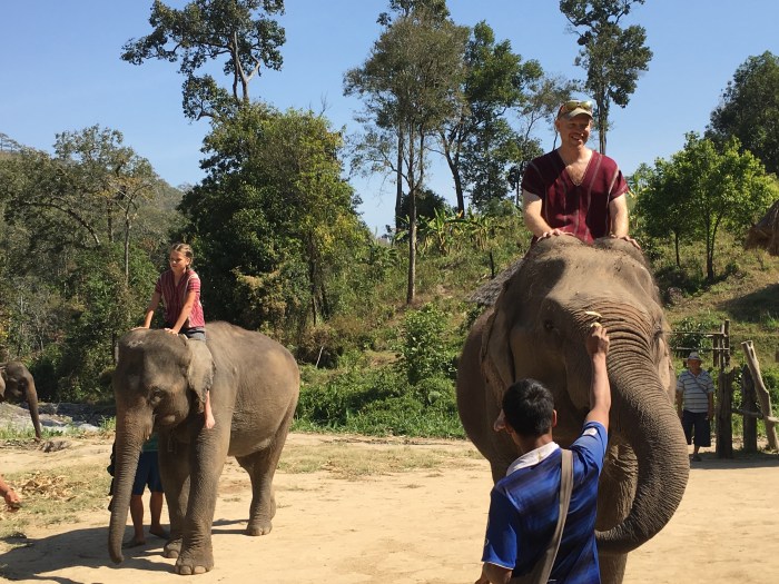Anna and Dad practicing commands