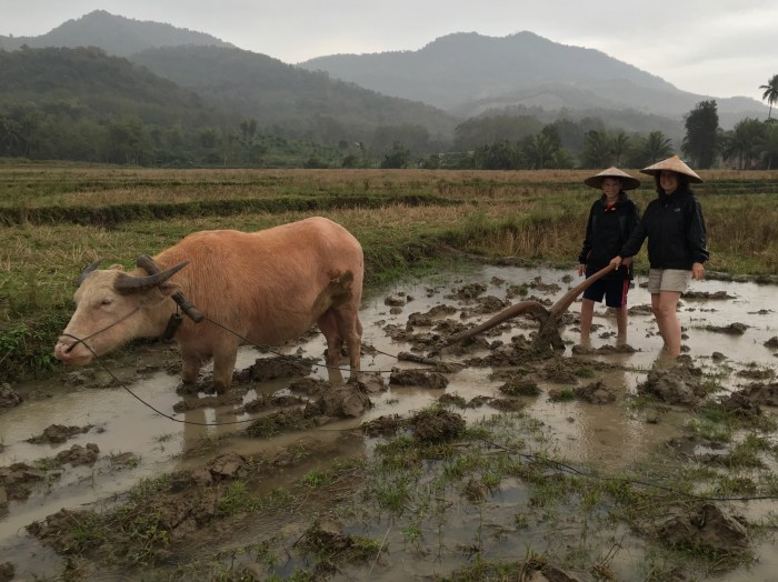 Gage and Lori plow the fields with Rudolph the water buffalo (he did all the work)