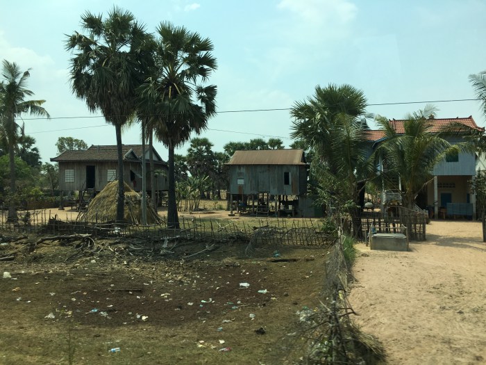 Typical Cambodian houses in the country. Those mounds you see are stacks of hay for the cows