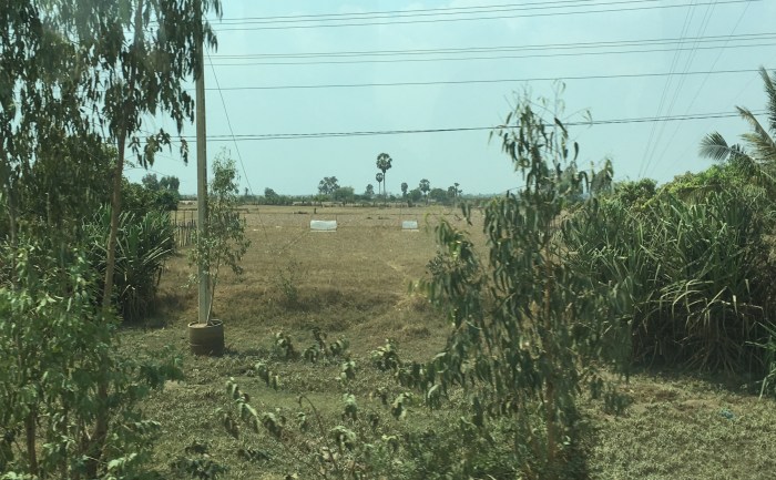 Cricket traps. Yep, they eat lots of different bugs here in Cambodia. Strangely, no one in our family is keen to try them!