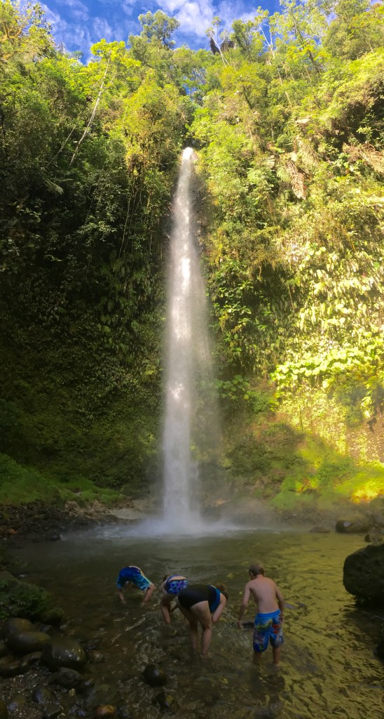 Hola Vida Falls! Um . . . Why did everyone pick this moment to clean their faces?