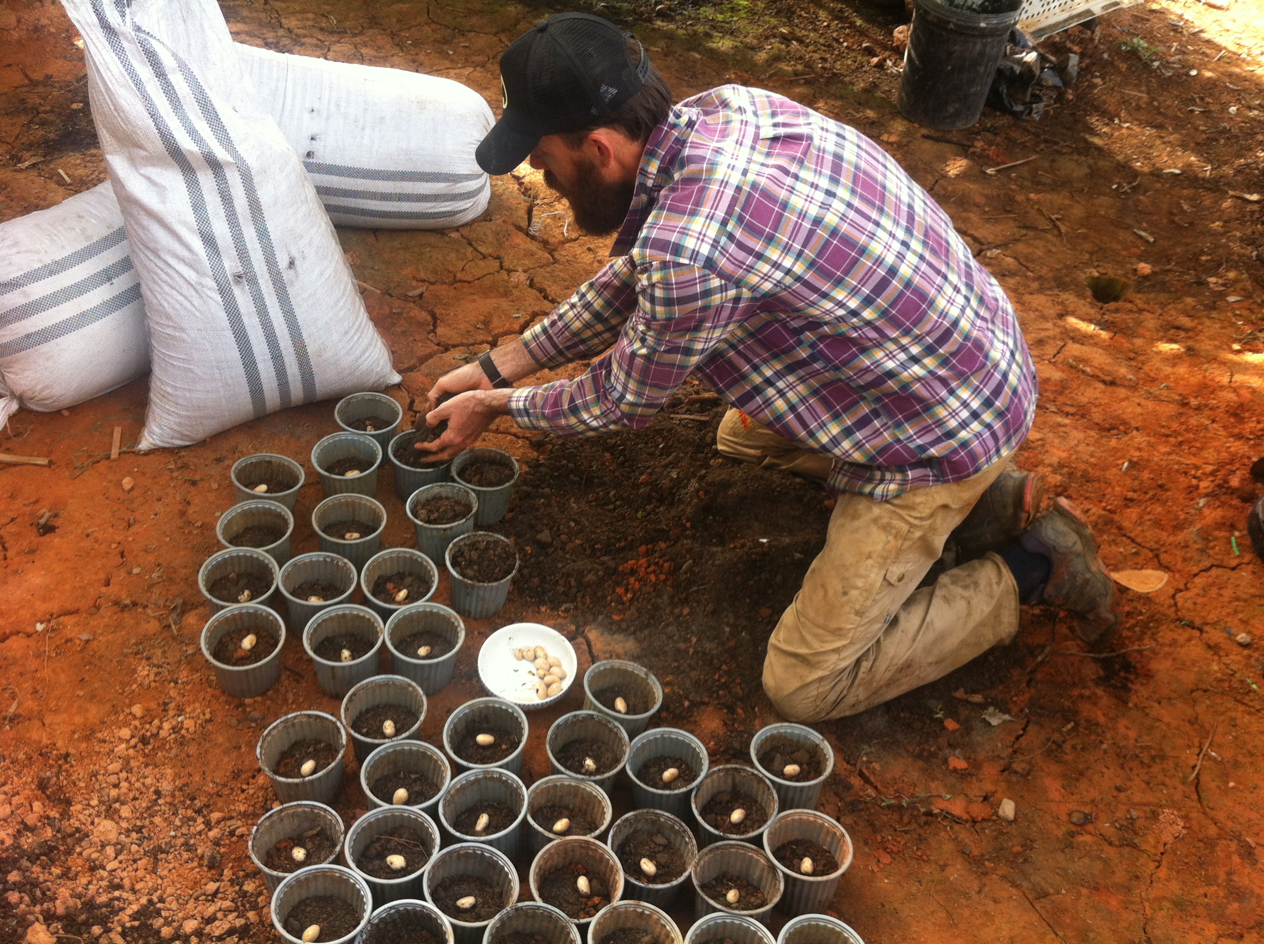 Planting Seeds