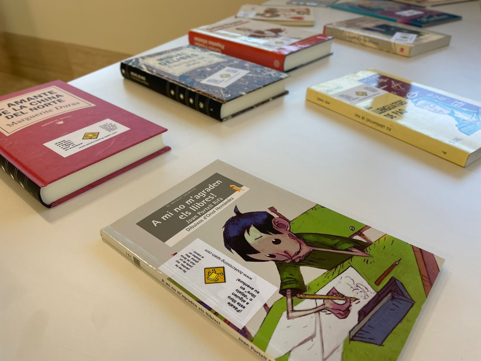 BOOKCROSSING (2)
