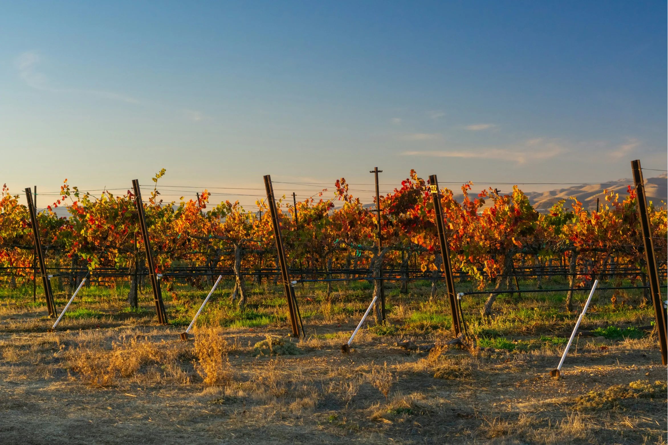 Printing Trends 2025