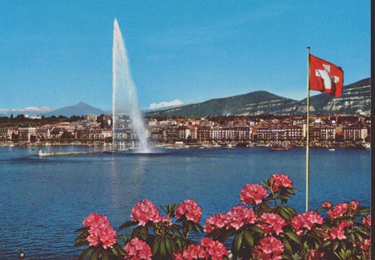 Afficher l'image d'origine