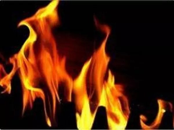 Delhi Fire Video: दिल्ली के एक फैक्ट्री में दहकी भीषण आग, मचा हड़कंप