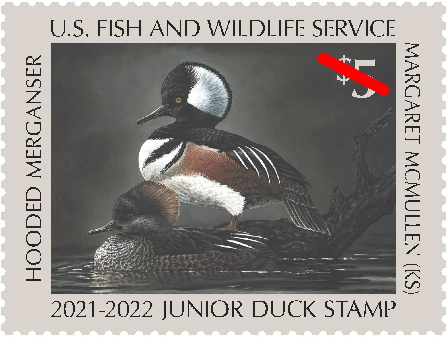 20212022 Jr. Duck Stamp American Birding Association