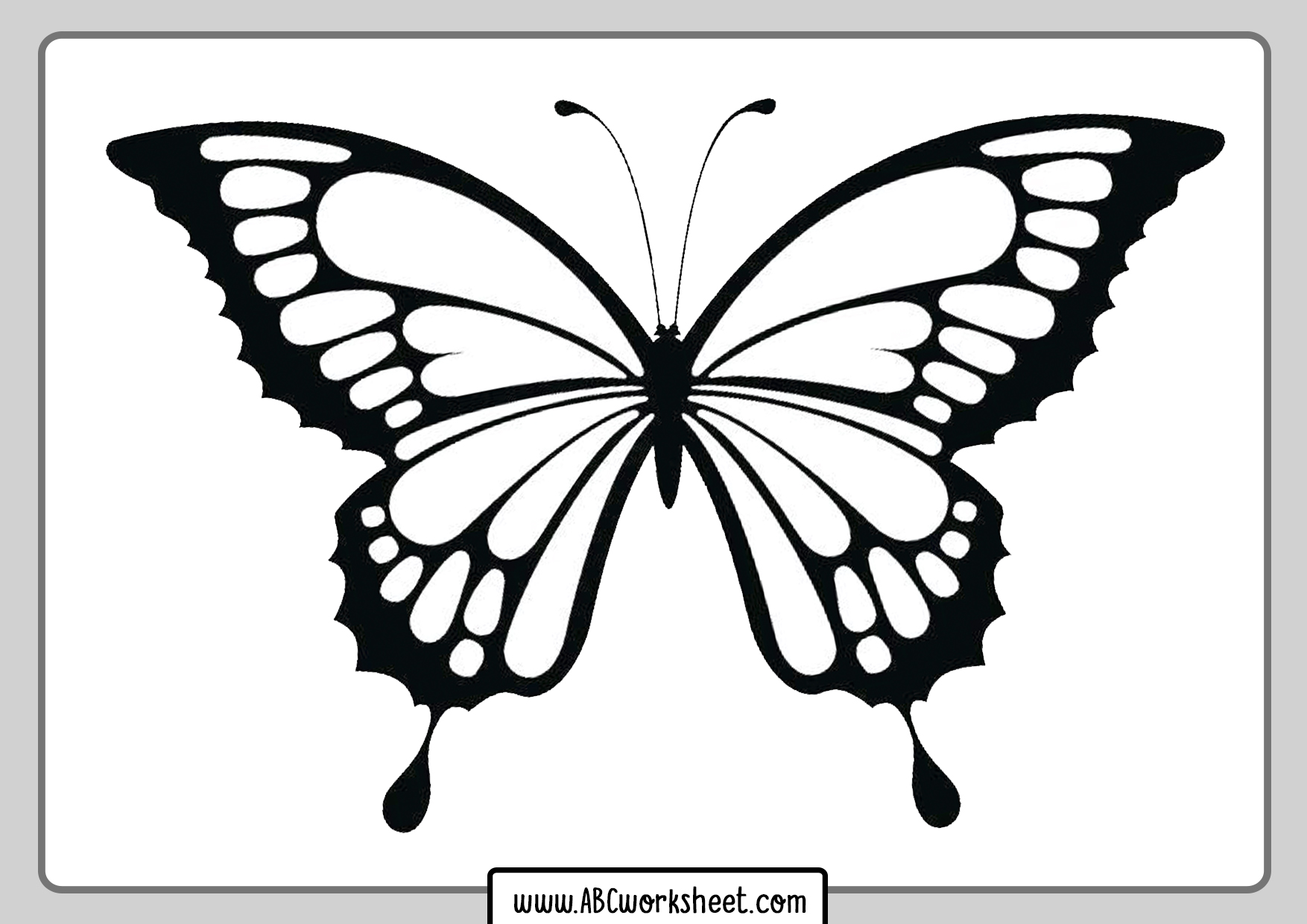 printable butterly coloring pages