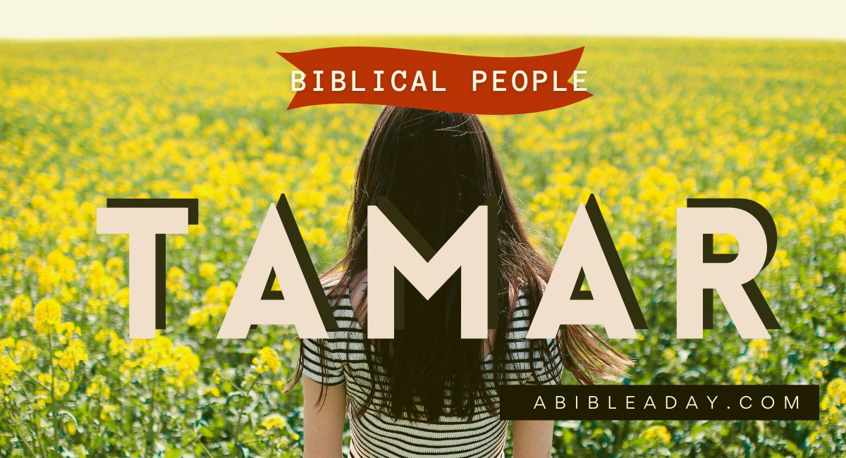 Tamar (3)
