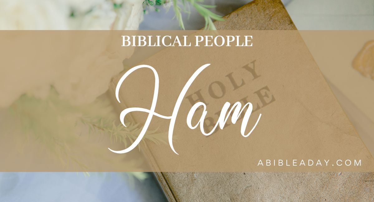 Biblical People Ham A Bible A Day