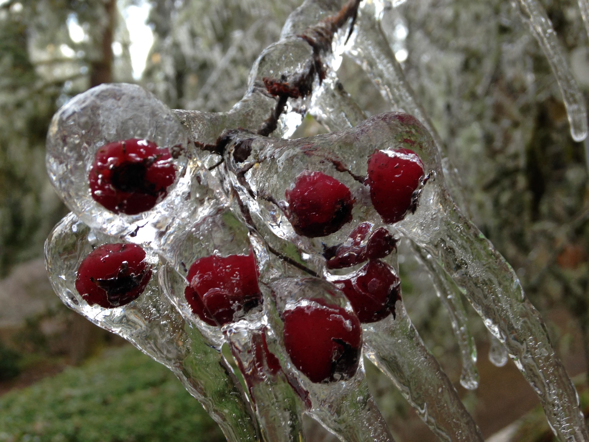 winter plumbing tips