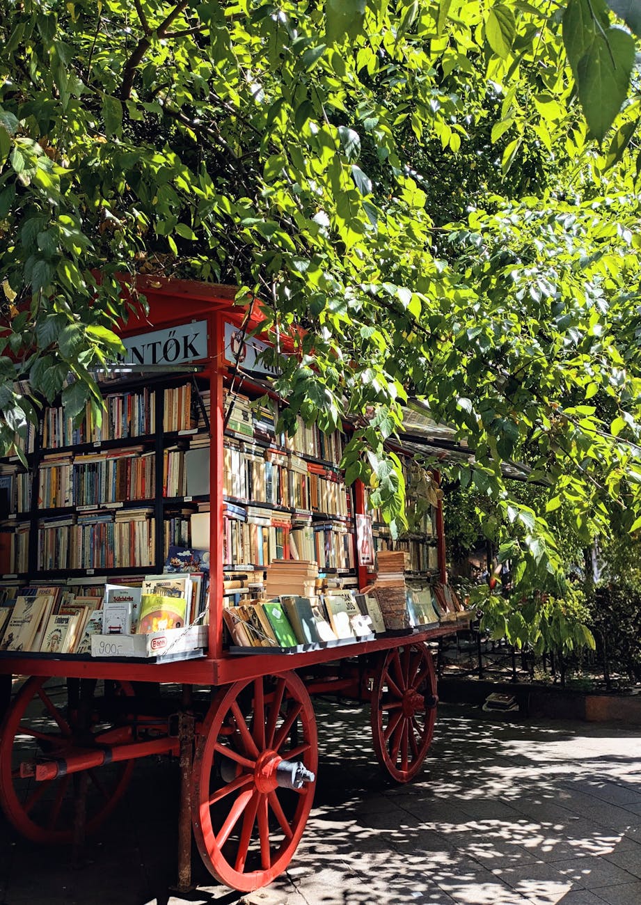 charming outdoor book cart in budapest s summer glow