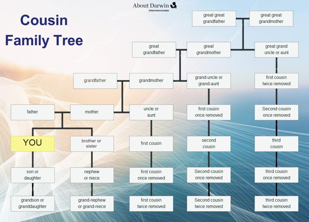 What is a second cousin? explanation with family tree chart