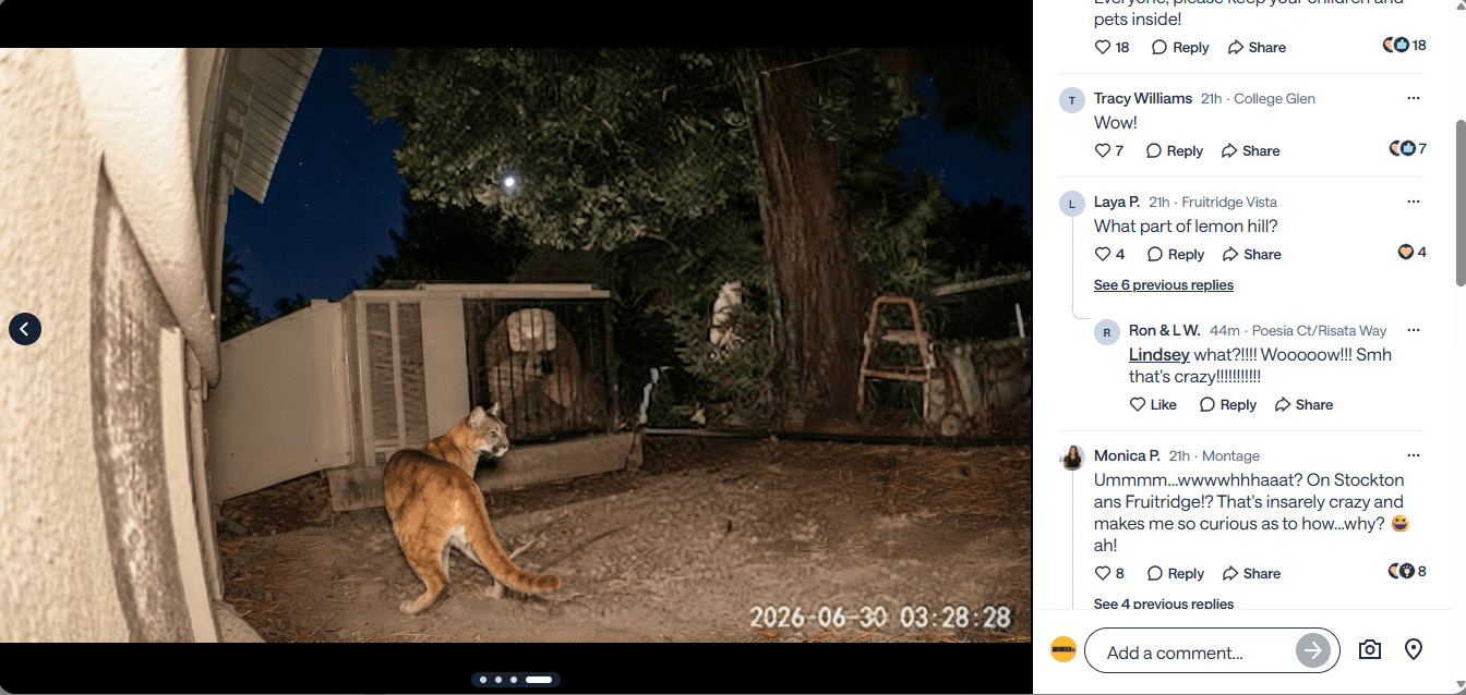 AI-Generated Mountain Lion Hoax: Experts Weigh In on the Dangers (2026)