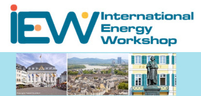 International Energy Workshop (IEW) 2024