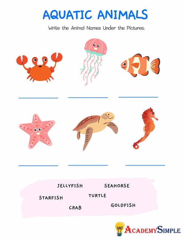 Animals worksheet, animal classification -name the aquatic animals