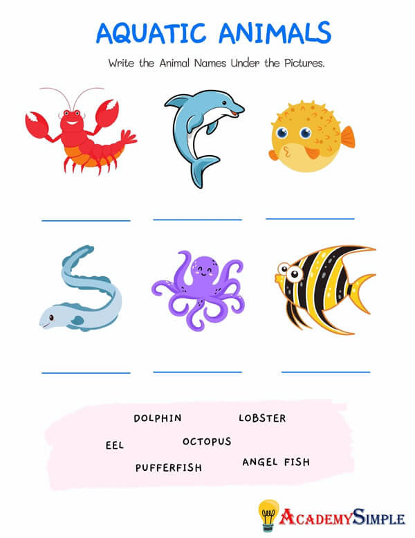 Top 186 + classification of animals worksheet for grade 5