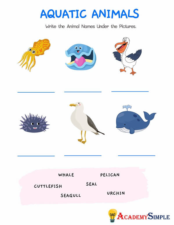 Animals worksheet, animal classification -name the aquatic animals #3
