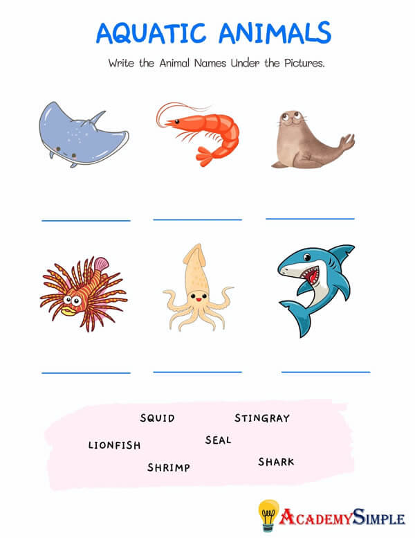 Animals worksheet, animal classification -name the aquatic animals #4