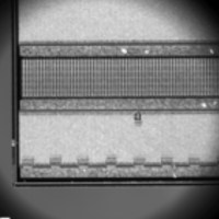 Inspection AP+ dir sorting