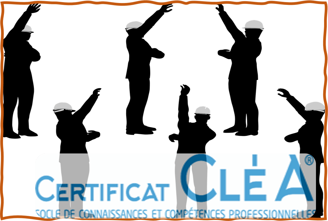 Socle de connaissances et de compétences professionnelles cléa : Accentonic