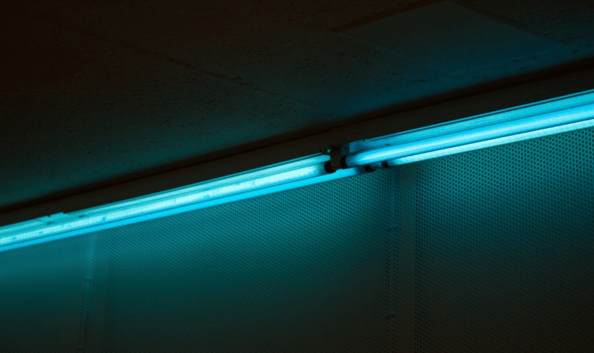 LEDs Found to Attract Fewer Insects than Conventional Light Types. What