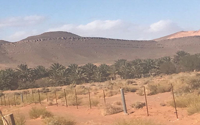 خبير عسكري يُعَدّدُ خلفيات إرسال الجزائر عشرات الشاحنات نحو الحدود المغربية