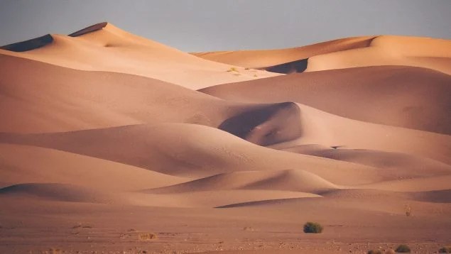 المغرب يكسب معركة التصحر و يحول أكثر من 1000 هكتار بالداخلة إلى أراضٍ مروية (صحيفة إسبانية)