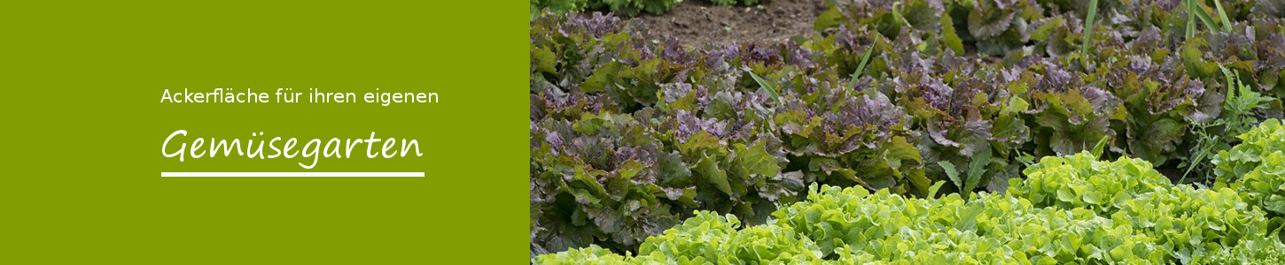 Meine Ernte Miete Deinen Garten In Stapelfeld Bei Hamburg