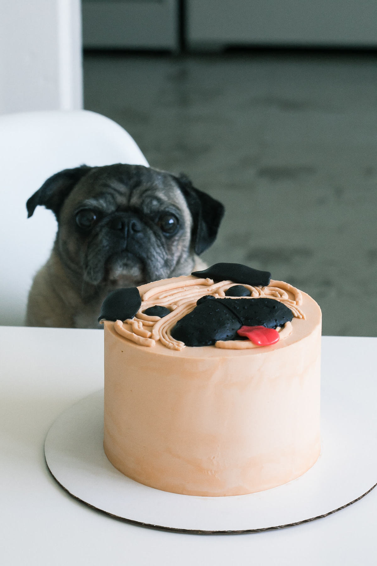 photo Black Pug Birthday Cake corgi cake and a pug cake too