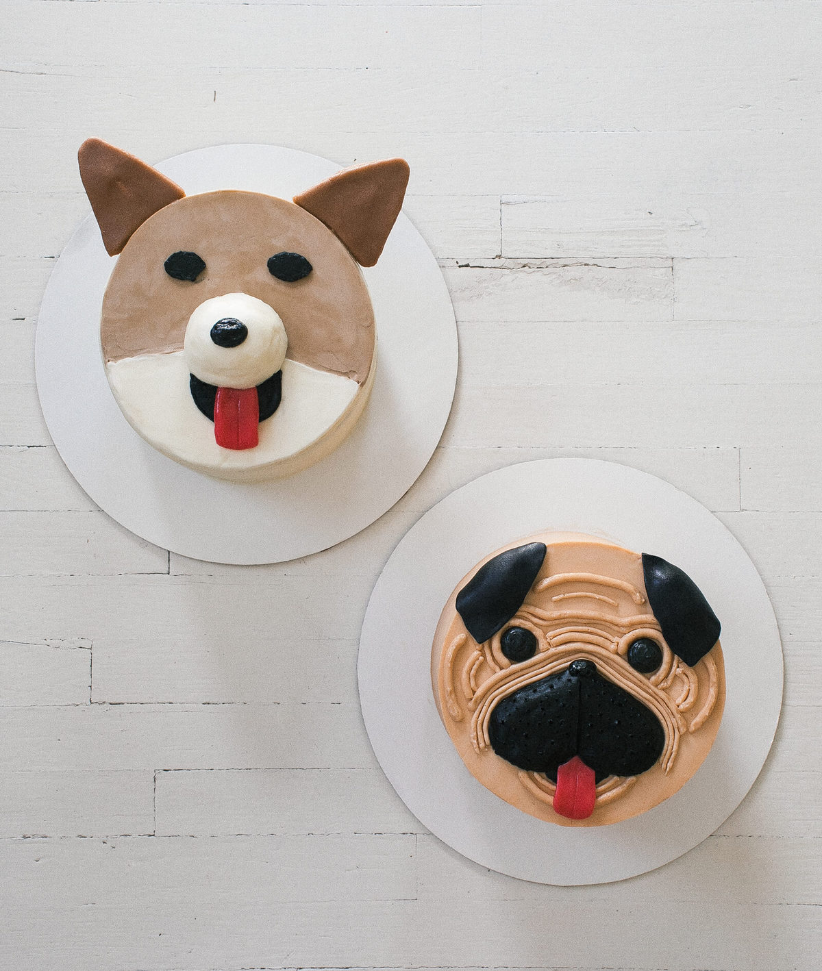 pics Black Pug Birthday Cake corgi cake and a pug cake too