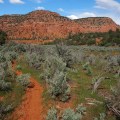 Lower Nephi Wash