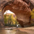 CoyoteBridge