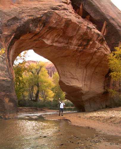 CoyoteBridge