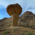 Below the Mushroom